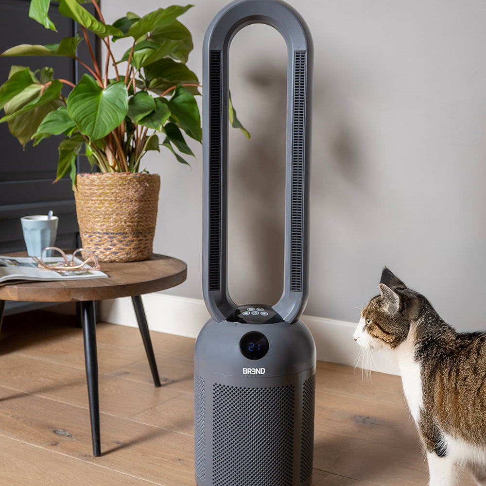 Un chat regarde le chauffage soufflant sans pales gris dans le salon